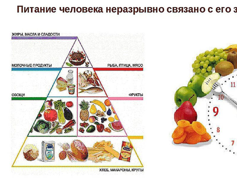 Схема Основы Правильного Питания