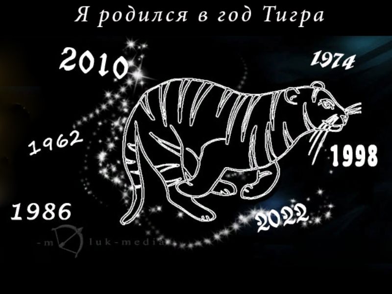 Гороскоп На 2023 Год Овен Мужчина Тигр