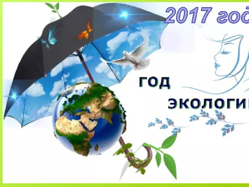 2012 объявлен годом. Год экологии. Охрана окружающей среды Крыма.