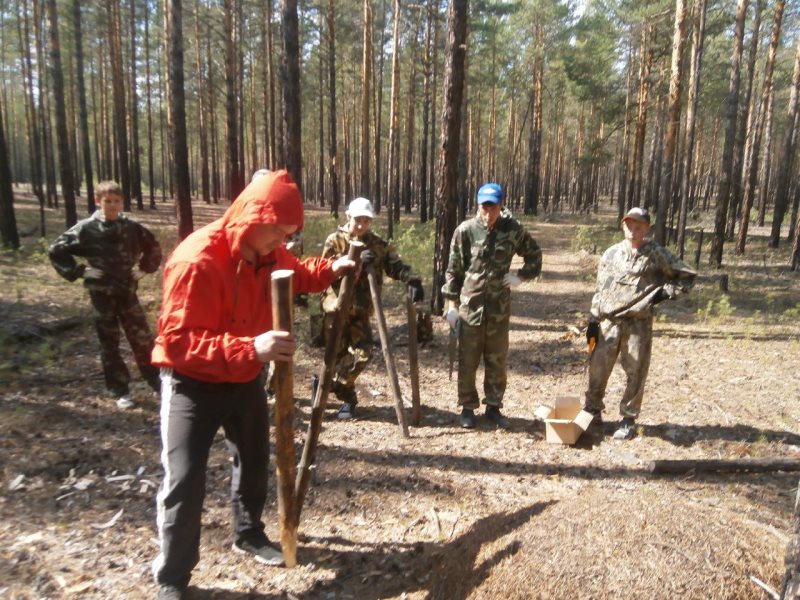 Млх красноярского края. Лесхоз Березовский район Красноярский край. Красноярское лесничество. Красноярск лесничества. Лесничества Красноярского края.