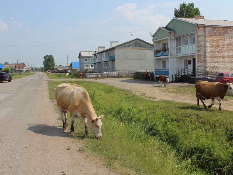 Красноярский край бирилюсский. Бирилюссы. Бирилюсский район Красноярский край. С Бирилюссы Бирилюсского района Красноярского края. Пос рассвет Красноярский край Бирилюсский район населением.