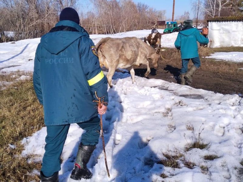 Погода самсоново алтайский край шипуновский