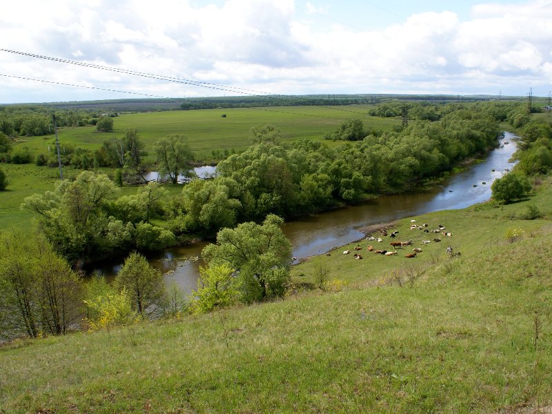 Река Аткара между городом и с.Тургенево