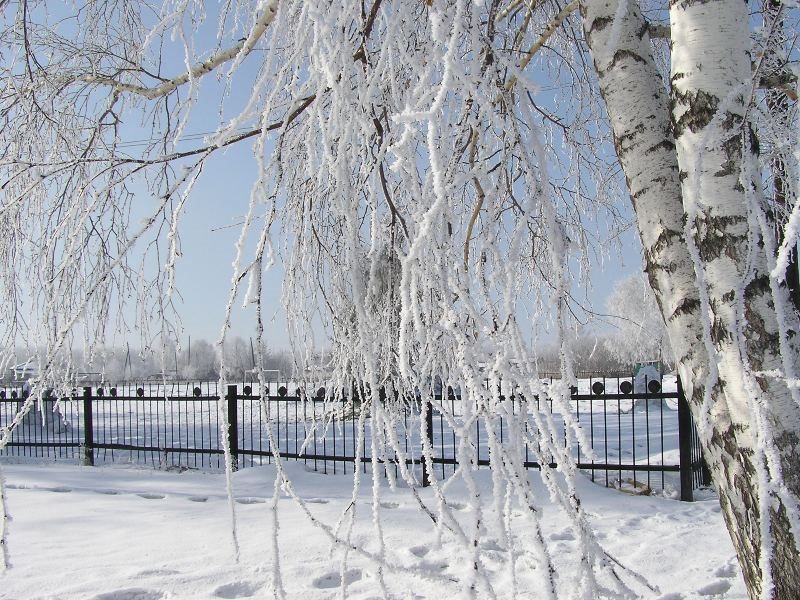 Погода в петропавловском районе алтайского края антоньевка
