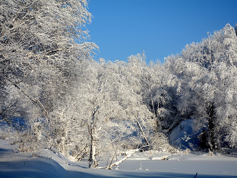 Река остыла. Зимний Базарный Карабулак. Базарный Карабулак природа. Природа родного края зима. Базарный Карабулак Саратовская область зима.