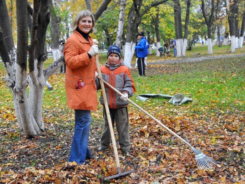 Уборка в парке