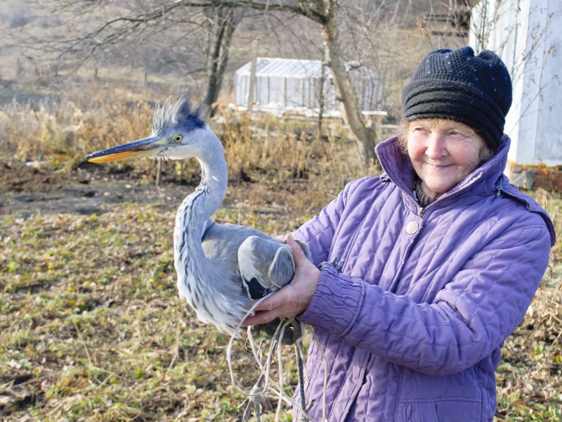 Погода село карпово алтайский край. Солонешенский район село Карпово. Карпово Солонешенский район Алтайский край. Женщина похожая на цаплю. Карпятники в Алтайском крае.