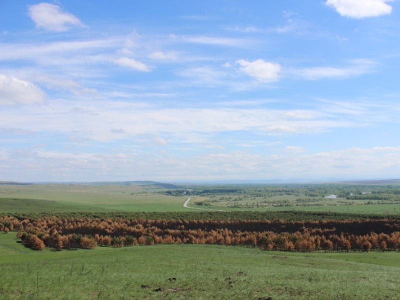 Погода алтайский край краснощековский. Маральник генералка Краснощековский район. Погода в Золотушке Краснощековский район. Погода в Краснощековском р н с Суетка на последнюю декаду июня..