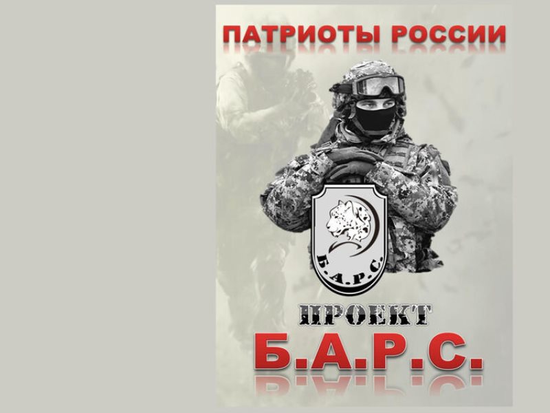 Армейский барс. Барс боевой армейский резерв. Барс армия проект. Боевой армейский резерв страны эмблема. Боевой армейский резерв специальный логотип.