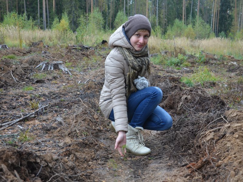 Сокольское нижегородской реалии