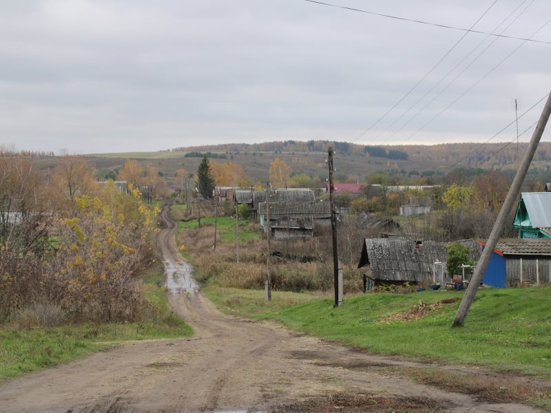 Регион живет селом. Уже.      Мордовия фото.