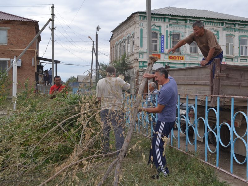 Погода в александрове по часам на сегодня