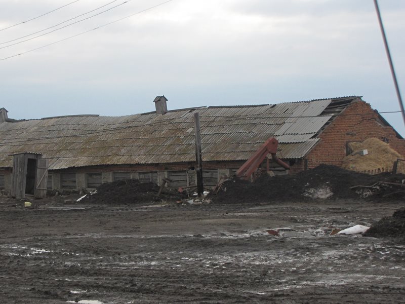 Погода в ануйском алтайский край