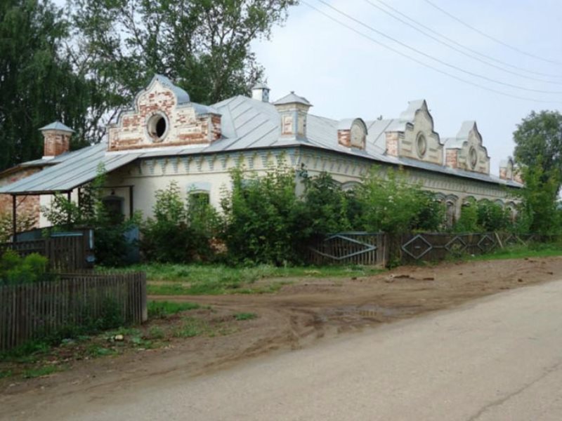 Фото большой сосновы пермского края