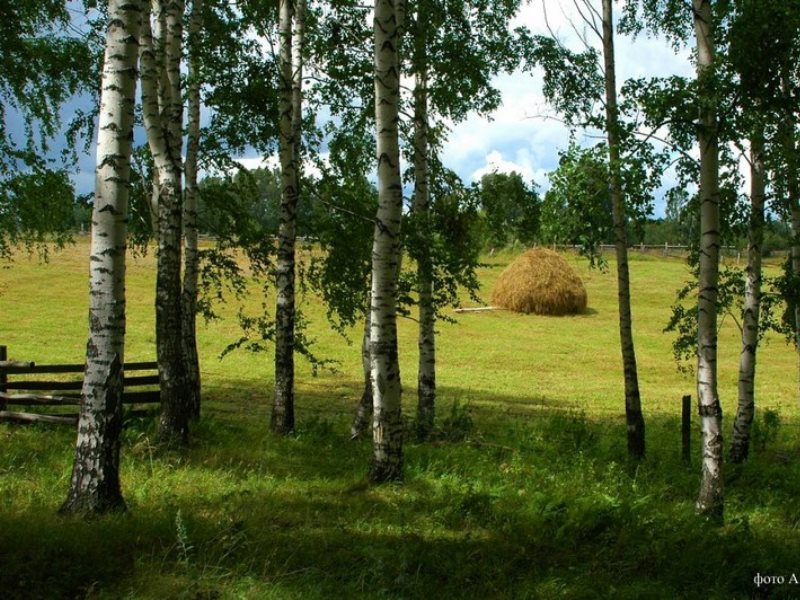 Заринского сельсовета