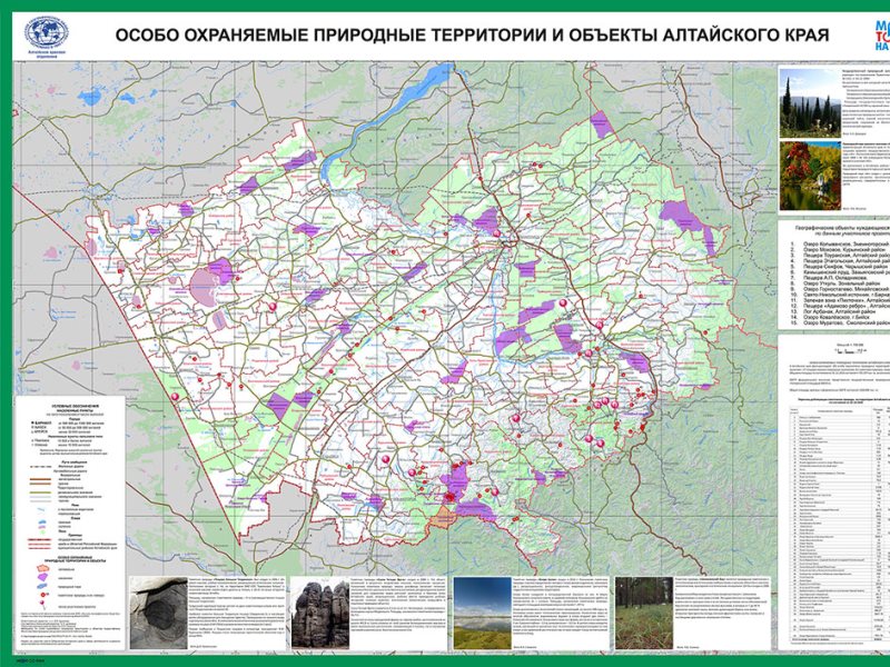 Карта растительности алтайского края