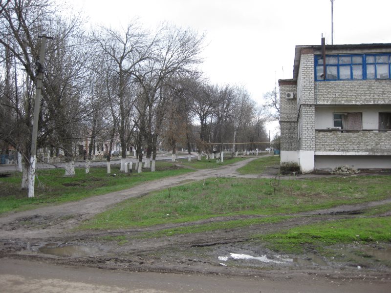 Село песчанка саратовская область самойловский. Песчанка Самойловский район.