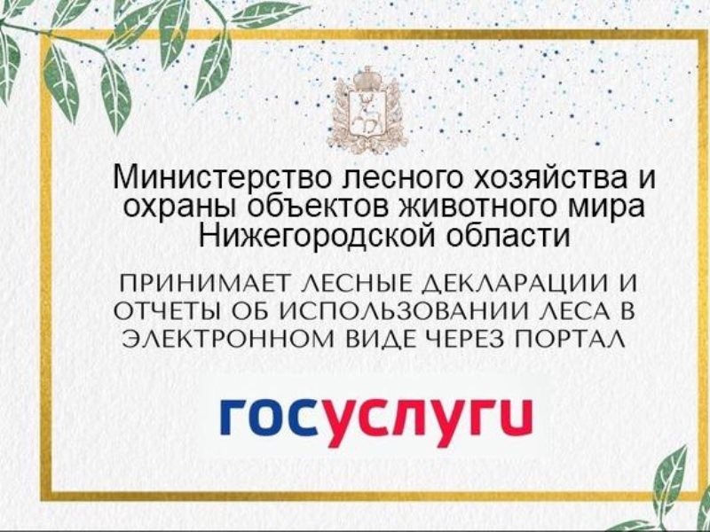 Сайт минлесхоза нижегородской области