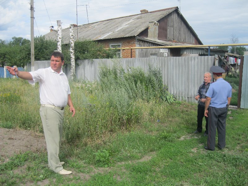 Погода в новозаволжском озинского