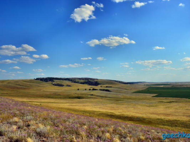 Саратовская область поселок горный фото