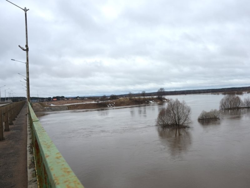 Разлив реки угра. Разлив угры в Калуге 2022. Вязьма разлив реки. Половодье Калуга Ока.