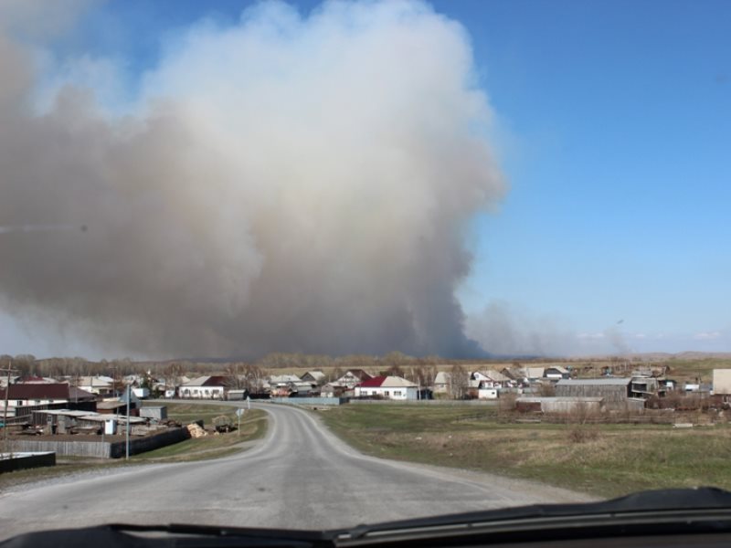 Погода алтайский край краснощекова. Краснощёково. Пожар в Краснощекове. Краснощеково пажаркп. Погода в Краснощеково.