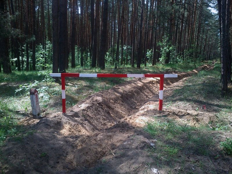 Проект противопожарных мероприятий в лесничестве