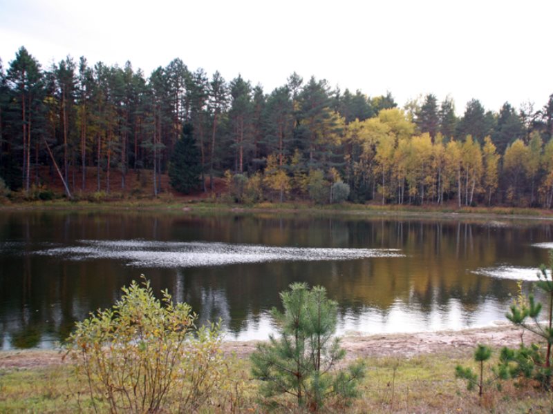 Озеро Родионово Нижегородская область