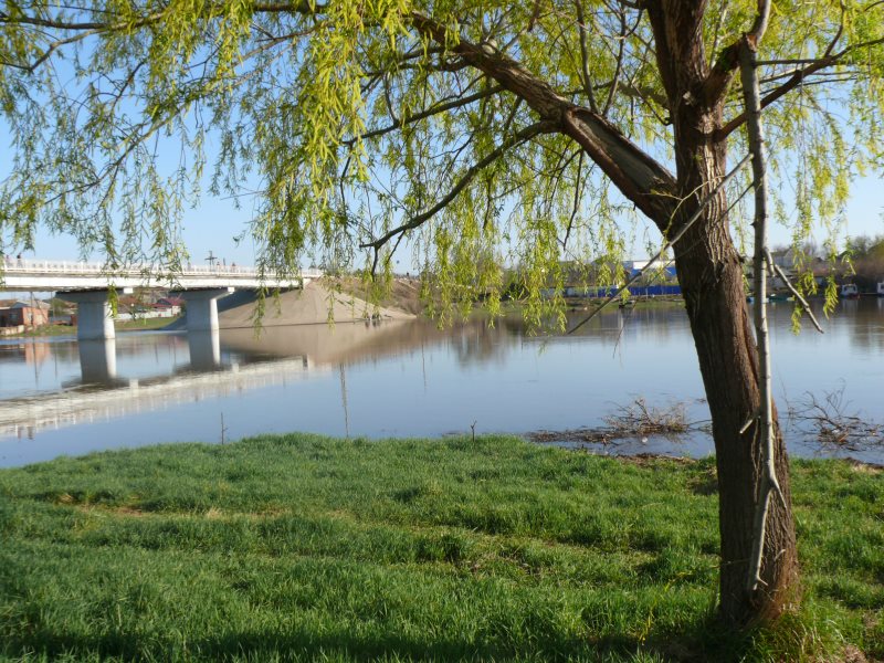 Икряное астраханская область. Астрахань село Икряное. Астрахань Икрянинский район. Икрянинский район Астраханской области природа.