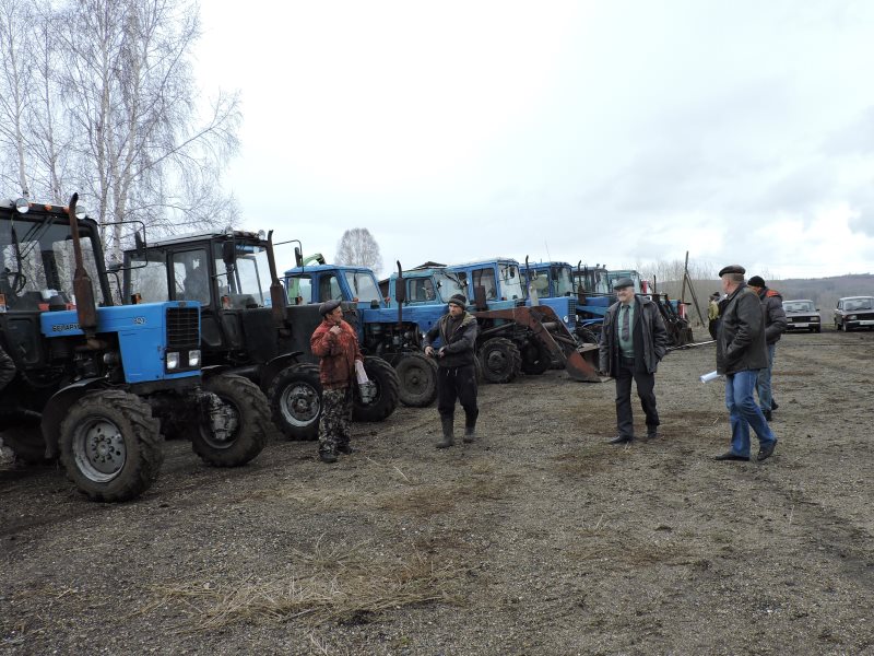 Погода в пуштулиме ельцовский