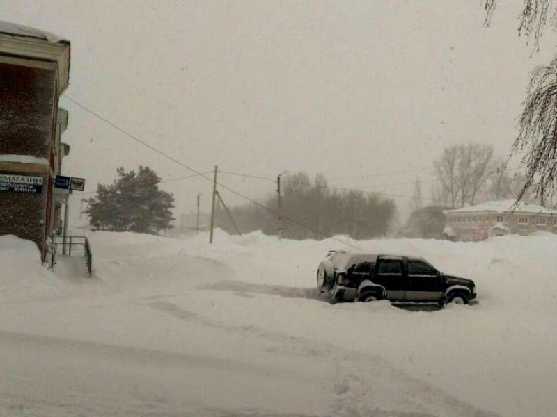 Погода в залесово алтайский край. Залесово Заринск. Залесово проездом видео. Фото Залесово в 1970 год.