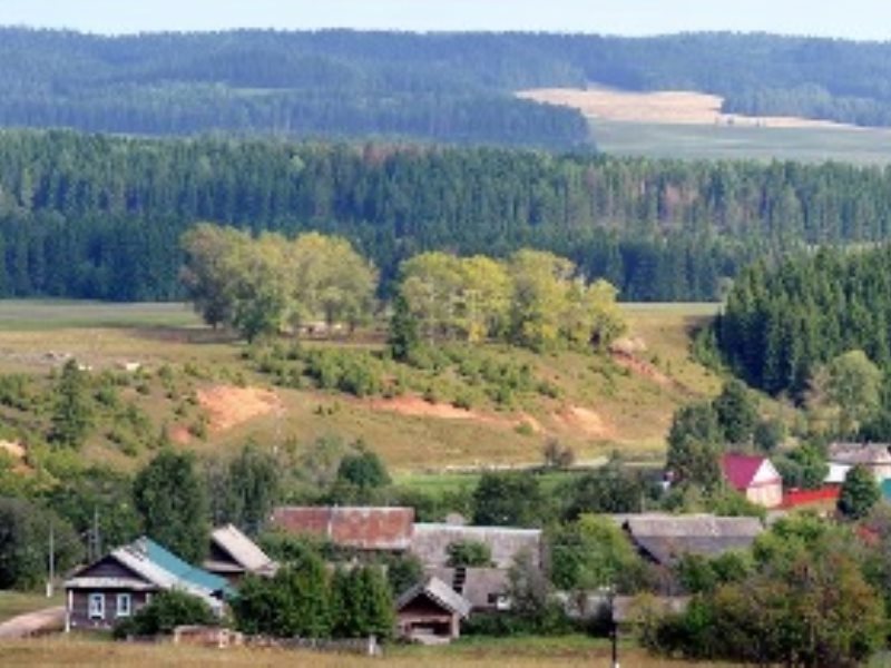 Села удмуртской республики. Природа Вавожского района Удмуртской Республики. Квашур Вавожский район. Удмуртская Республика Балезино природа. Удмуртия деревня в лесу.