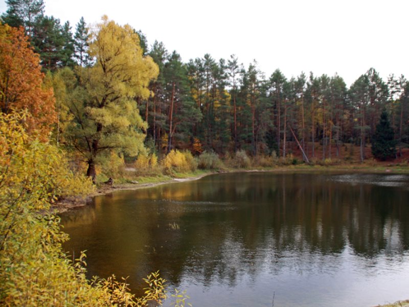 Озеро Родионово Нижегородская область