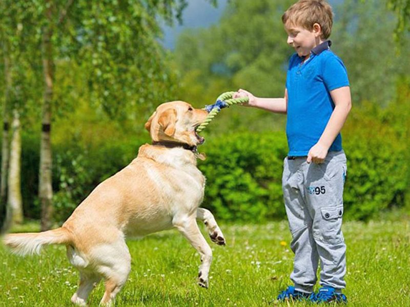 Мальчик играющий с собакой. Лабрадор канистерапия. Лабрадор ретривер мальчик. Лабрадор и дети. Ретривер и дети.