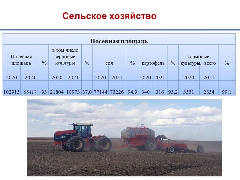 Структура хозяйства ЛПХ. Количество людей работающих в сельском хозяйстве в Рязанской области.