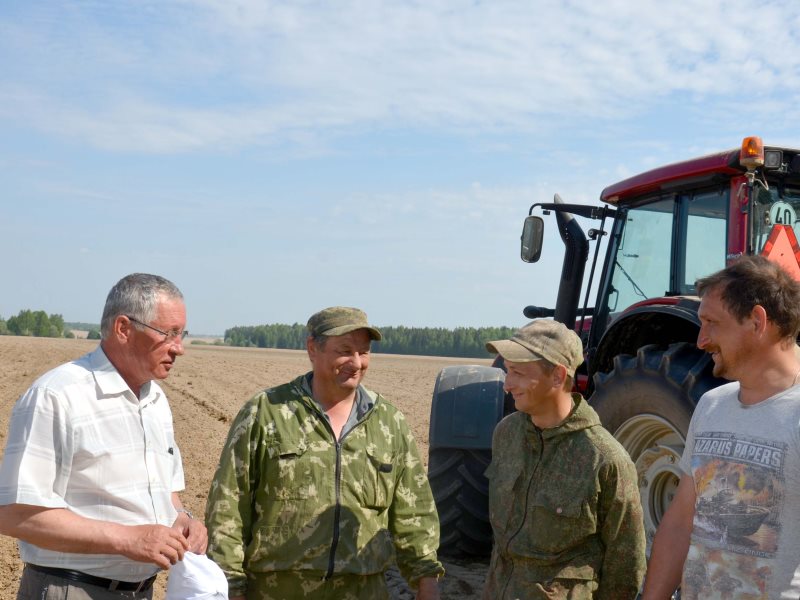 Спк по областям. СПК колхоз Сокол.