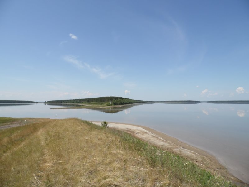 Погода оз медвежье курганская. Озеро Медвежье Курган. Гороховое озеро Псковская область. Санаторий гороховое озеро Псковская область.