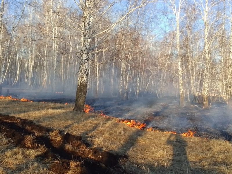 Погода пашково курганская