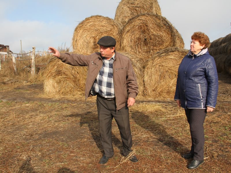 Сельская новь бежаницы