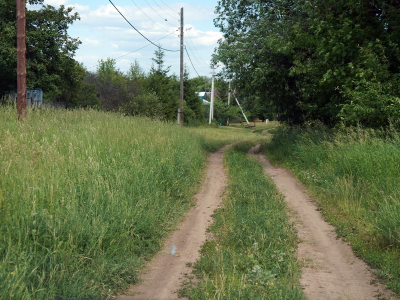 Малая пица нижегородская область карта