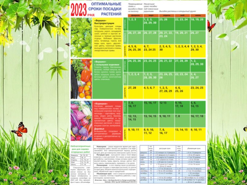 Посевной календарь садовода на 2024 г