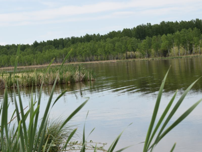 Погода большой арбай красноярский край саянский. Арбай озеро Красноярский край. Вятка (Красноярский край). Озеро Тинская.