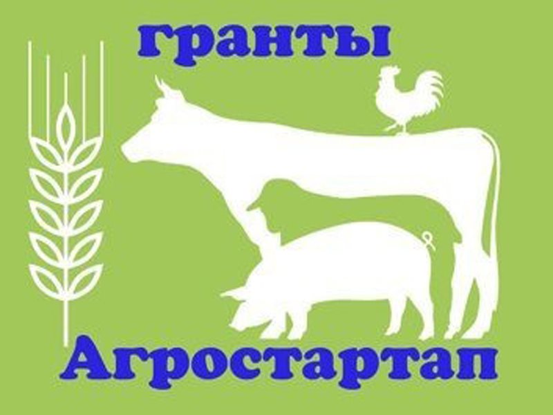 Порядок предоставления гранта агростартап 2021