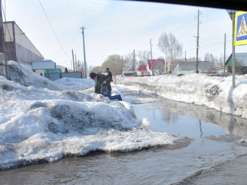 Погода алейск алтайский край на 10 дней