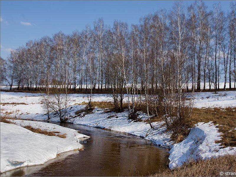 Вешний это. Весенние реки Тютчев. Весенние воды. Апрель Весна воды. Весенние воды картинки.