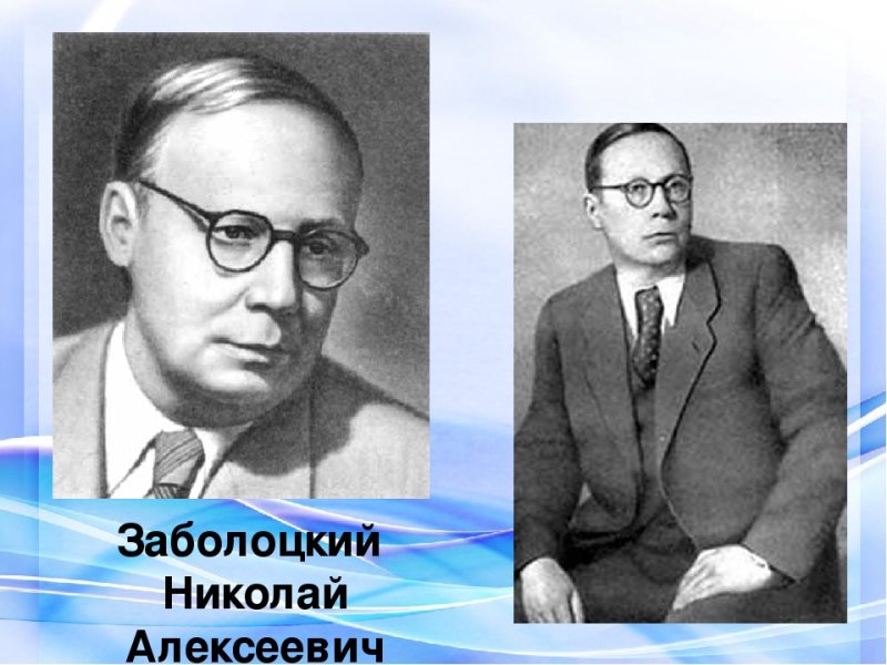 Заболоцкий фото. Заболоцкий поэт. Портрет Заболоцкого Николая Алексеевича. Н Заболоцкий портрет.