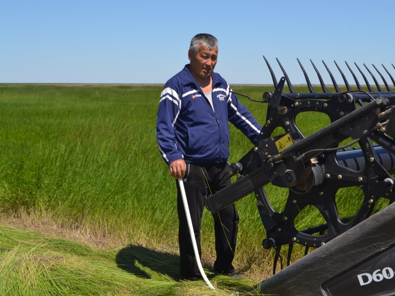 Погода село варфоломеевка. Варфоломеевка Саратовская область. Село Варфоломеевка Саратовской области Александрово-Гайский район. Рп5 село Варфоломеевка Саратовская область. Олег Рогачиков Варфоломеевка.