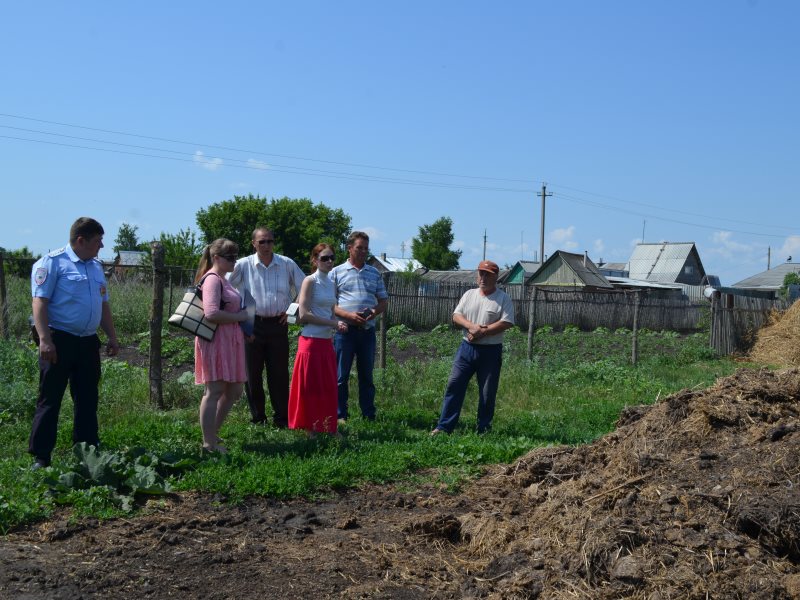 Погода село студеная. Село Березовка Саратовская область Петровский район. Студеное Саратовская область Петровский район. Петровский район поселок Студеный. Поселок Студеный Петровского района.