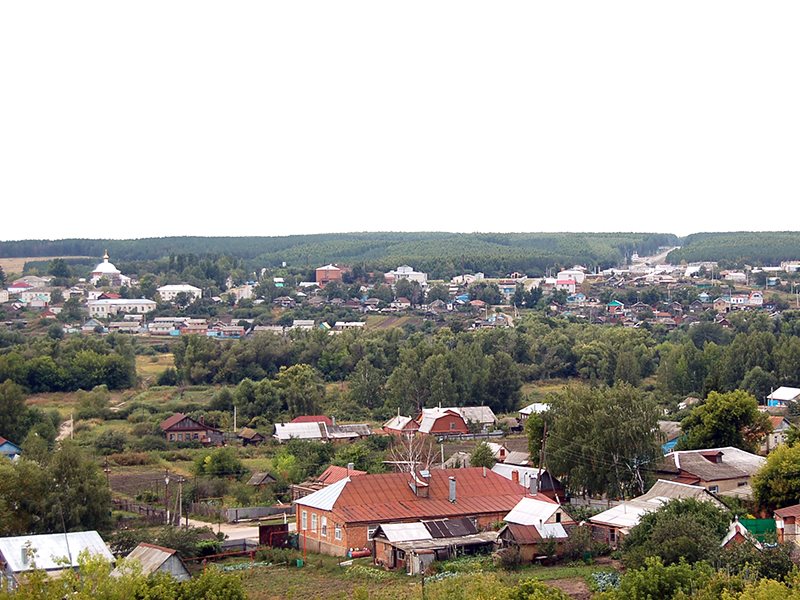 Базарный карабулак фото