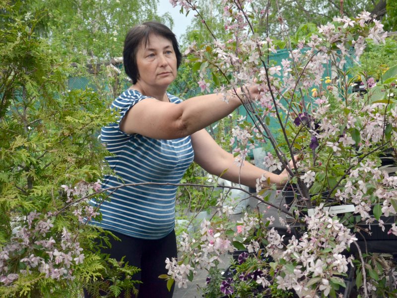 Сельская новь сокольское нижегородской